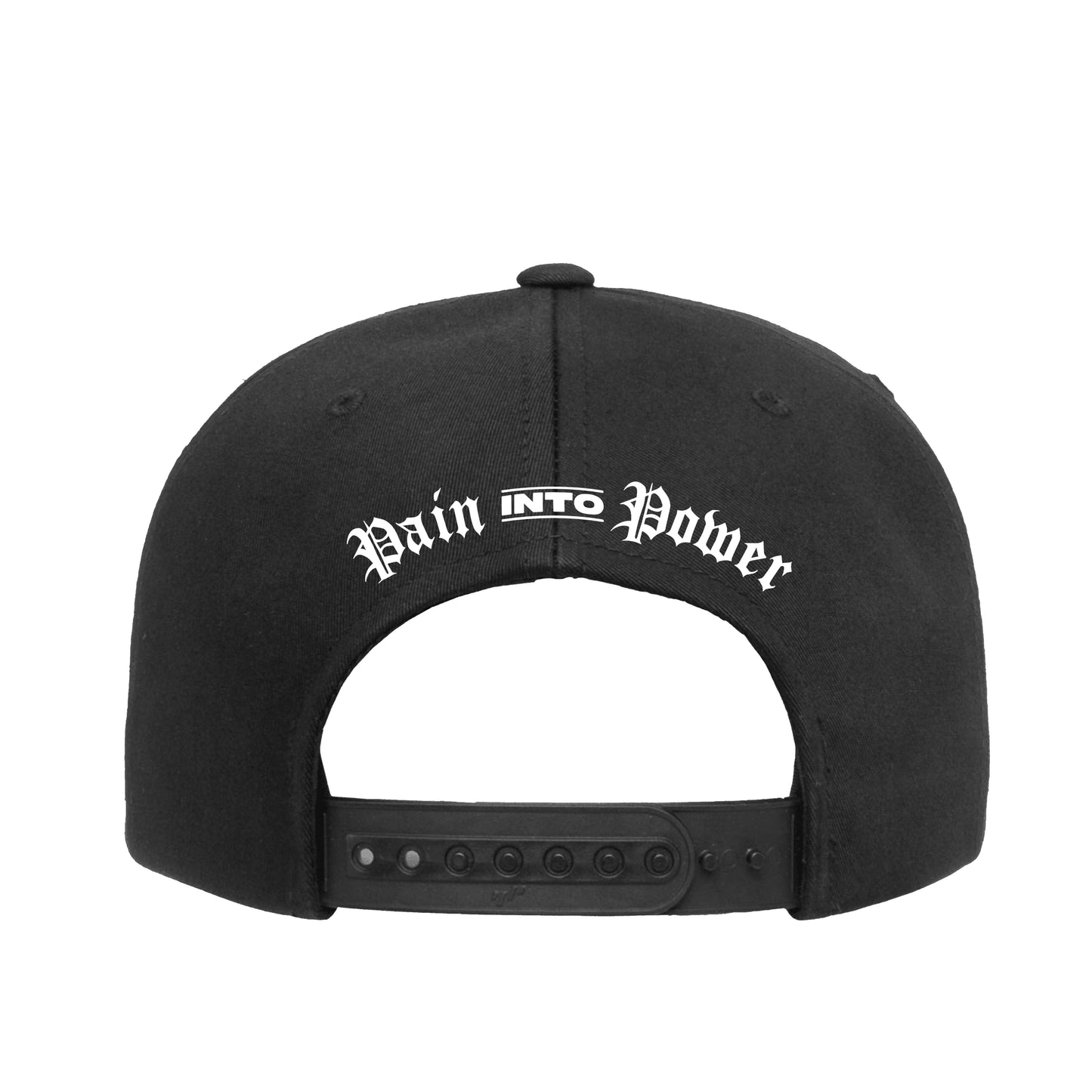 PAIN INTO POWER - SNAPBACK